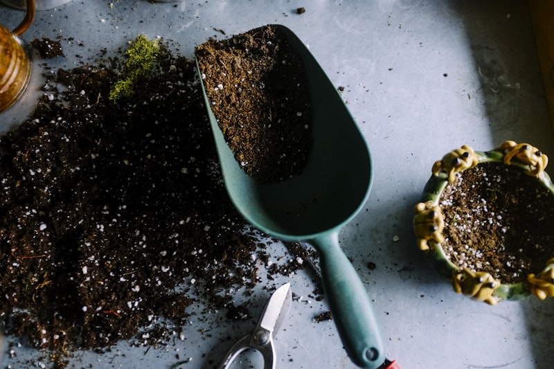 Growing cannabis at home in Canada — 4 plants per household